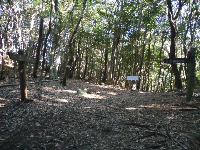a0206345_1731395.jpg