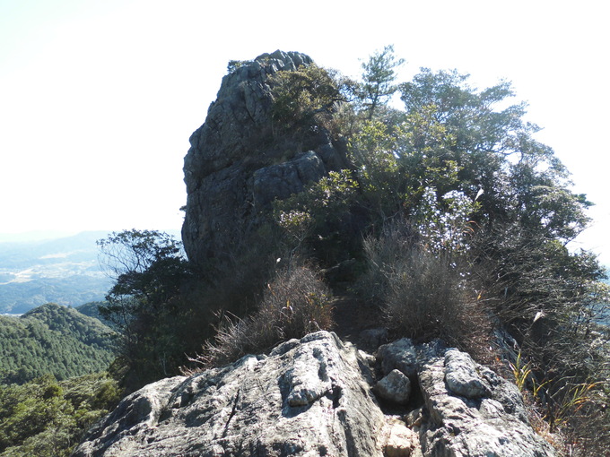 a0206345_176826.jpg