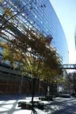 e0080345_08184777.jpg