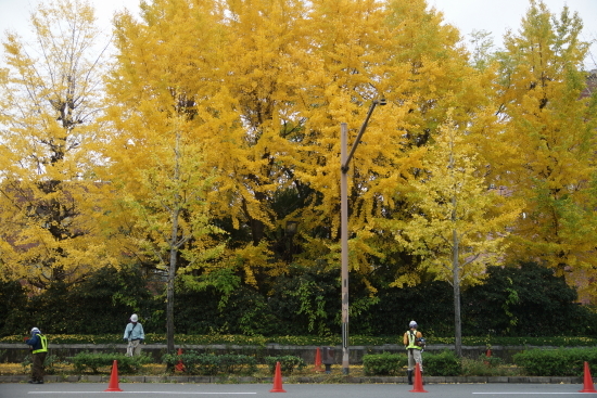 c0303246_20364595.jpg