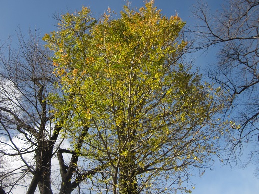 f0087347_13441344.jpg
