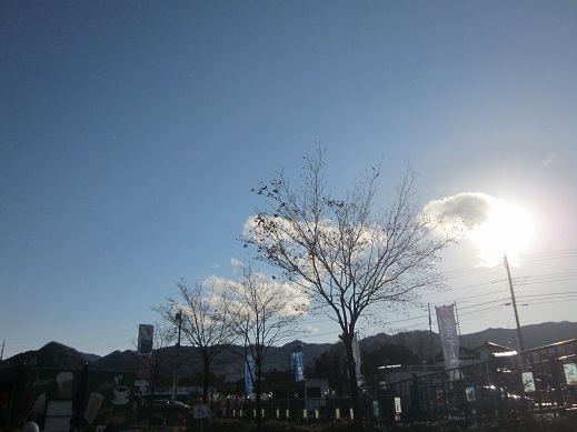 f0087347_13493382.jpg