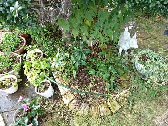f0087347_179597.jpg
