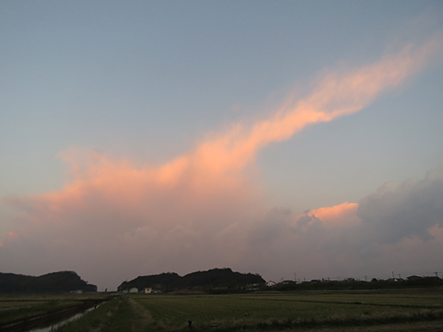 f0214649_532529.jpg