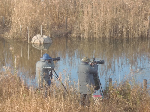 f0329849_12560922.jpg