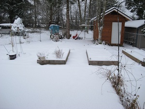 b0090654_343428.jpg