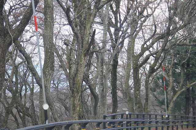 f0340155_12371806.jpg