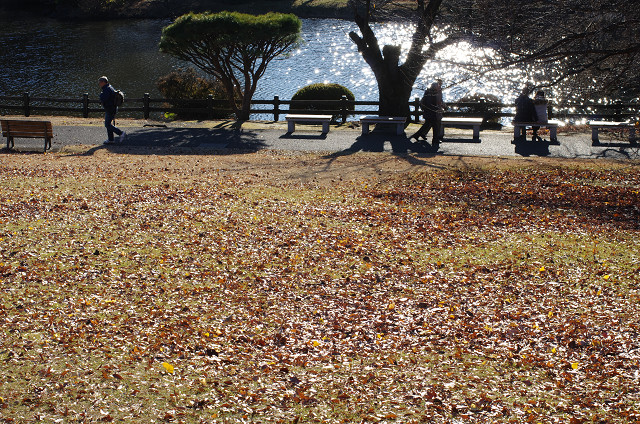 c0080357_13231357.jpg