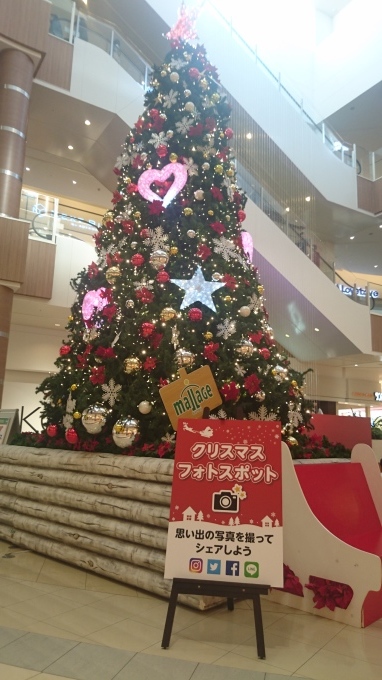 b0304662_23254195.jpg