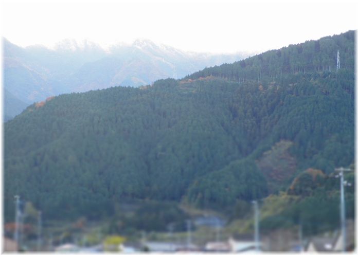 d0175974_19452013.jpg