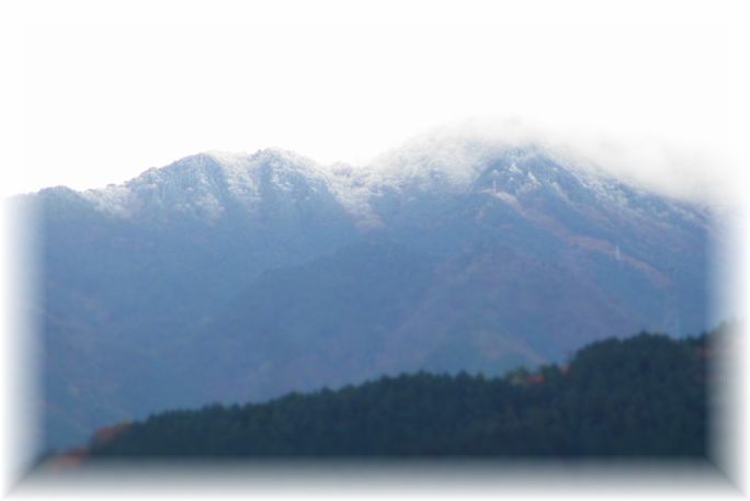 d0175974_1945680.jpg