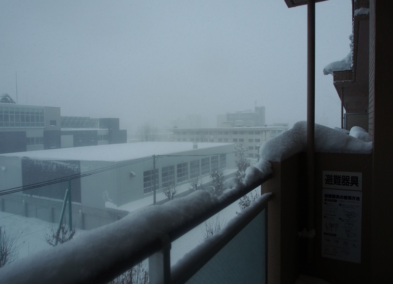 c0183777_2045769.jpg