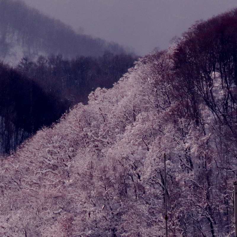 c0183777_2054924.jpg