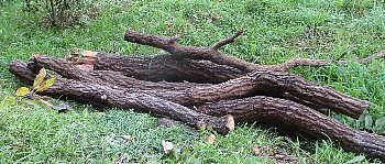 f0003283_08562959.jpg