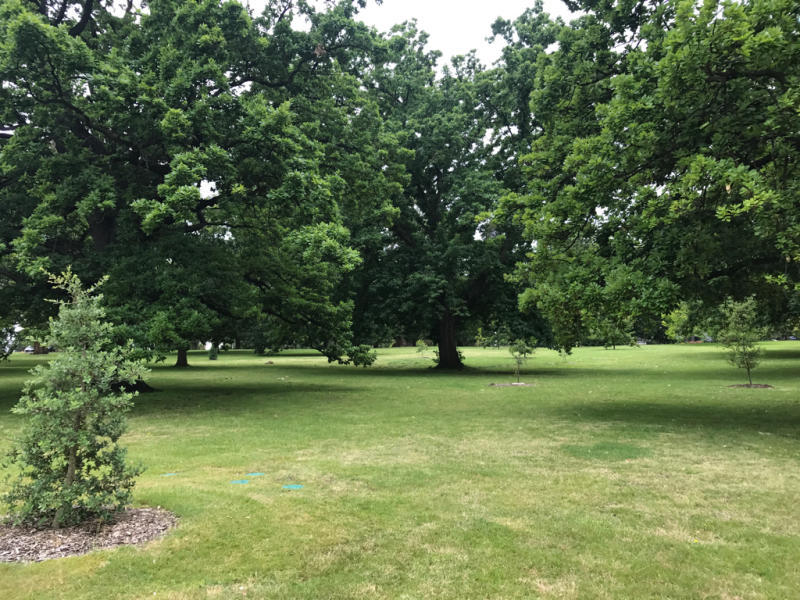 d0181387_06455257.jpg