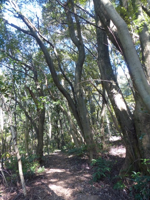 f0357487_2243246.jpg
