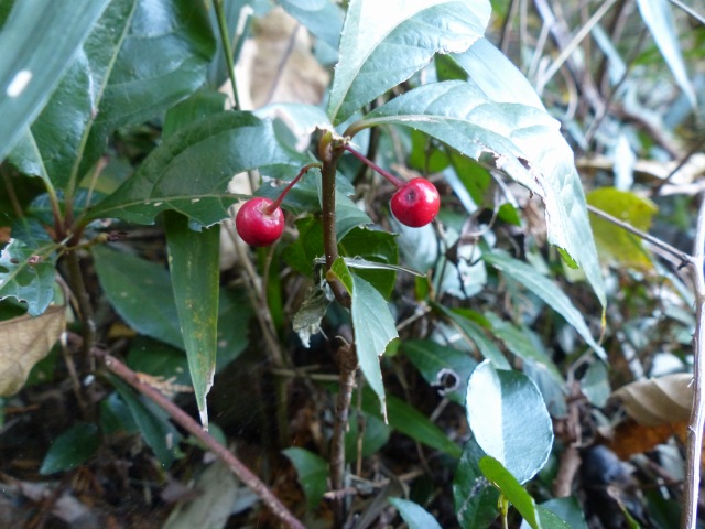 f0357487_2244918.jpg