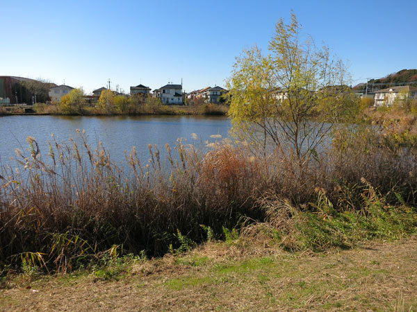 f0176688_15075138.jpg