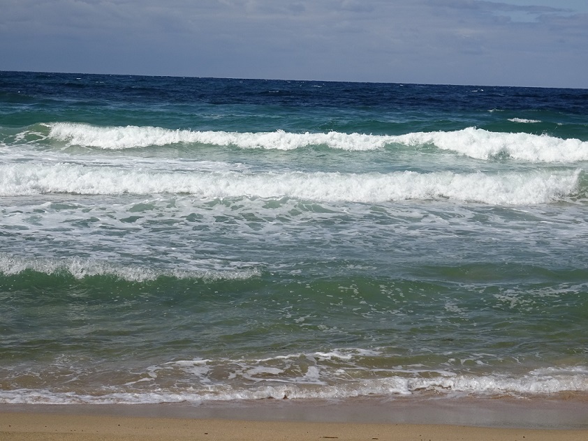 f0131491_19395642.jpg