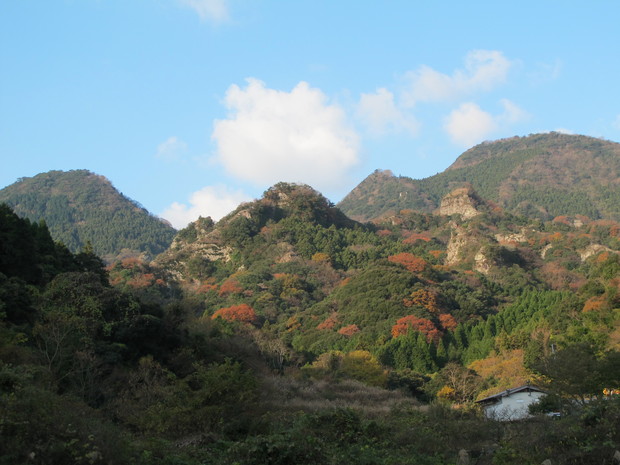 a0166196_2235036.jpg