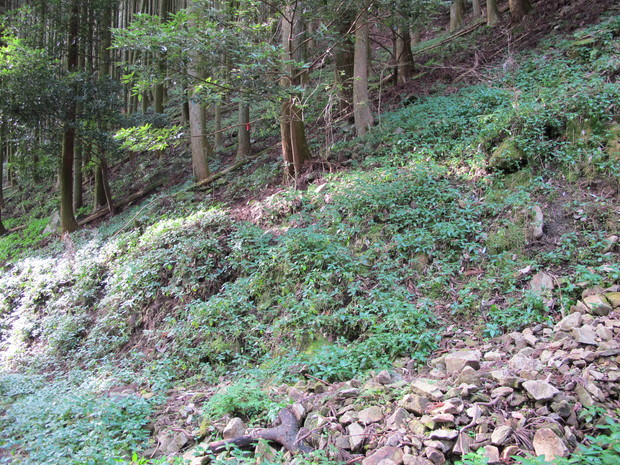 a0166196_22371678.jpg