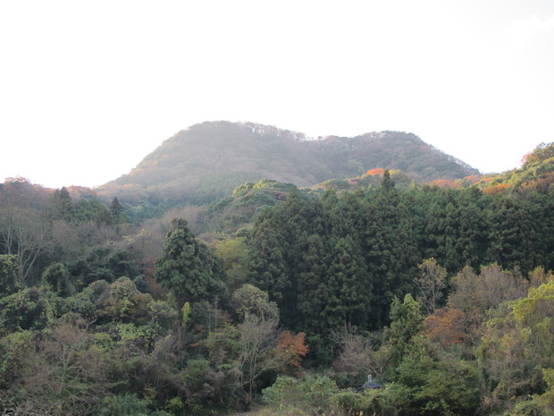 a0166196_22495939.jpg