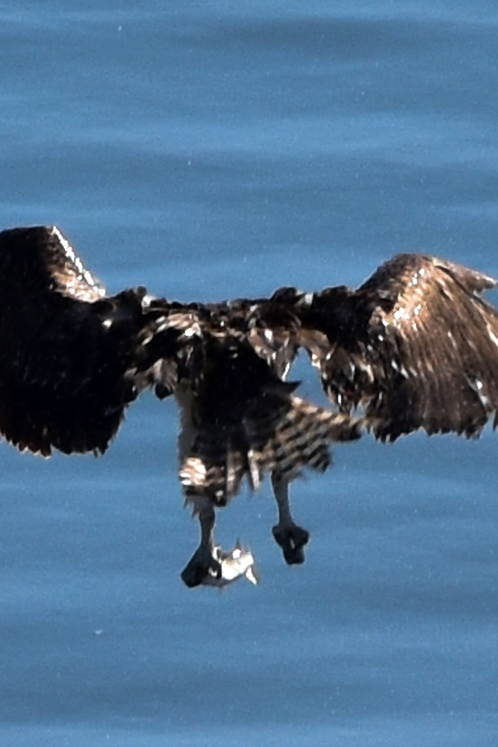 c0049299_23032378.jpg