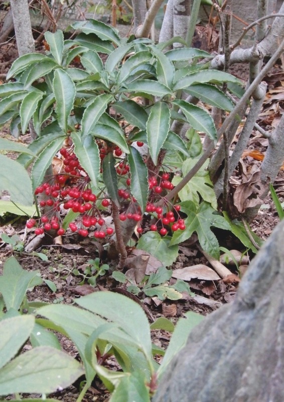e0025300_16442960.jpg