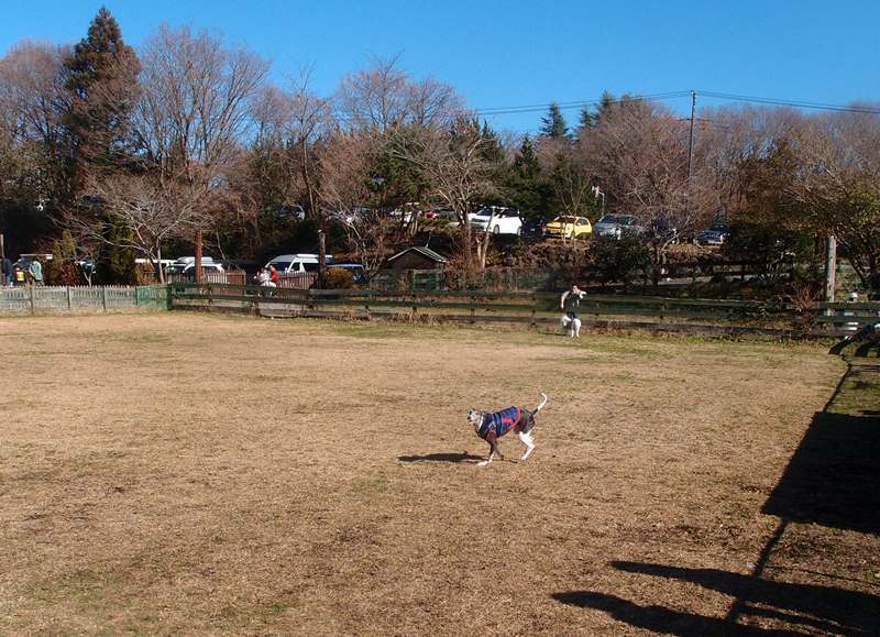 e0018604_12590901.jpg