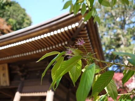 b0125808_22311782.jpg