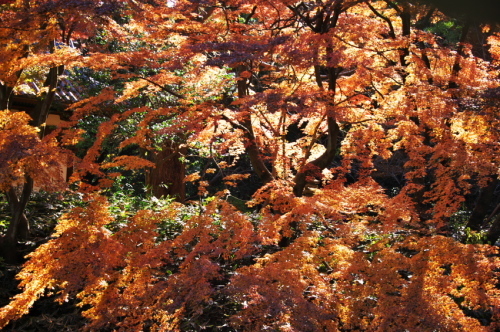 a0263109_19495242.jpg
