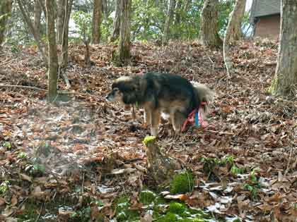 e0001110_13253064.jpg