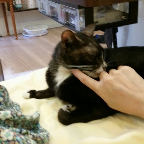 e0144012_12071161.jpeg