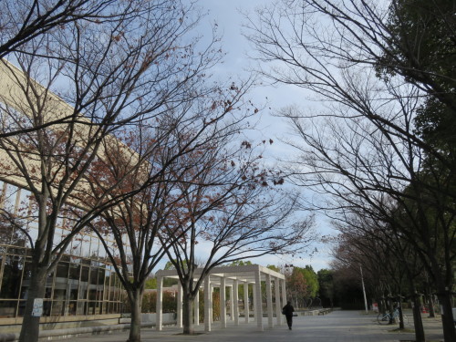 b0344816_18104888.jpeg