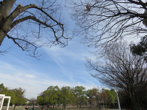 b0344816_18110726.jpeg