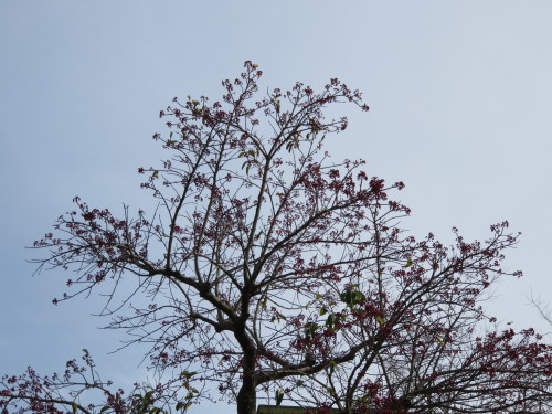 b0344816_18113009.jpeg