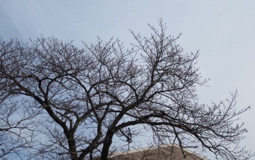 b0344816_18120735.jpeg