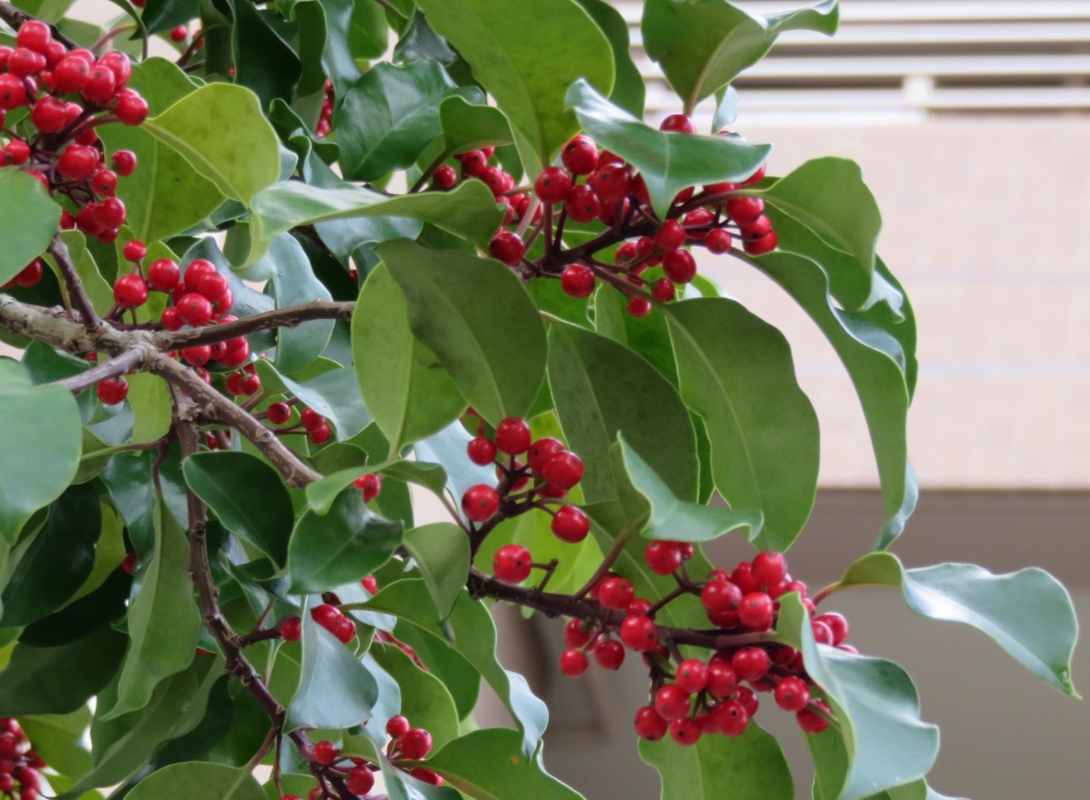 b0344816_18124671.jpeg