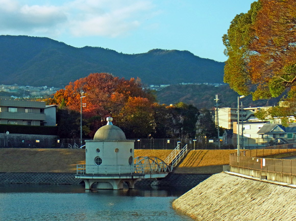 e0083517_03171685.jpg