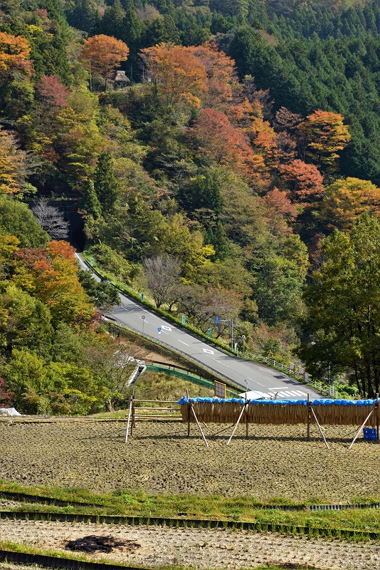 f0373120_17444594.jpg