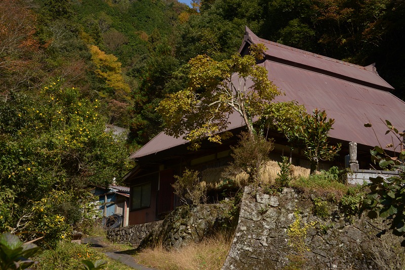 f0373120_1744835.jpg