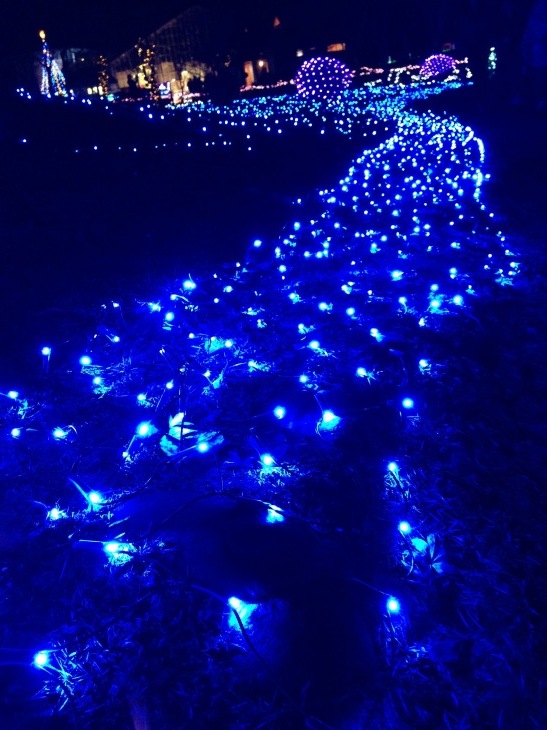 b0132522_22181660.jpeg