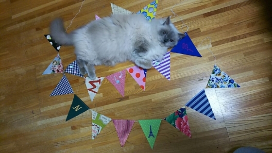 f0106823_09261739.jpg