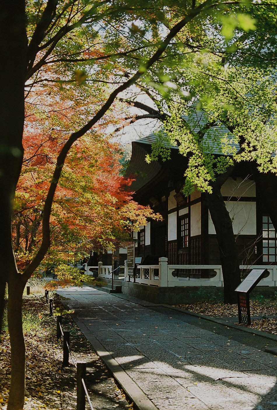 f0358531_00071725.jpg