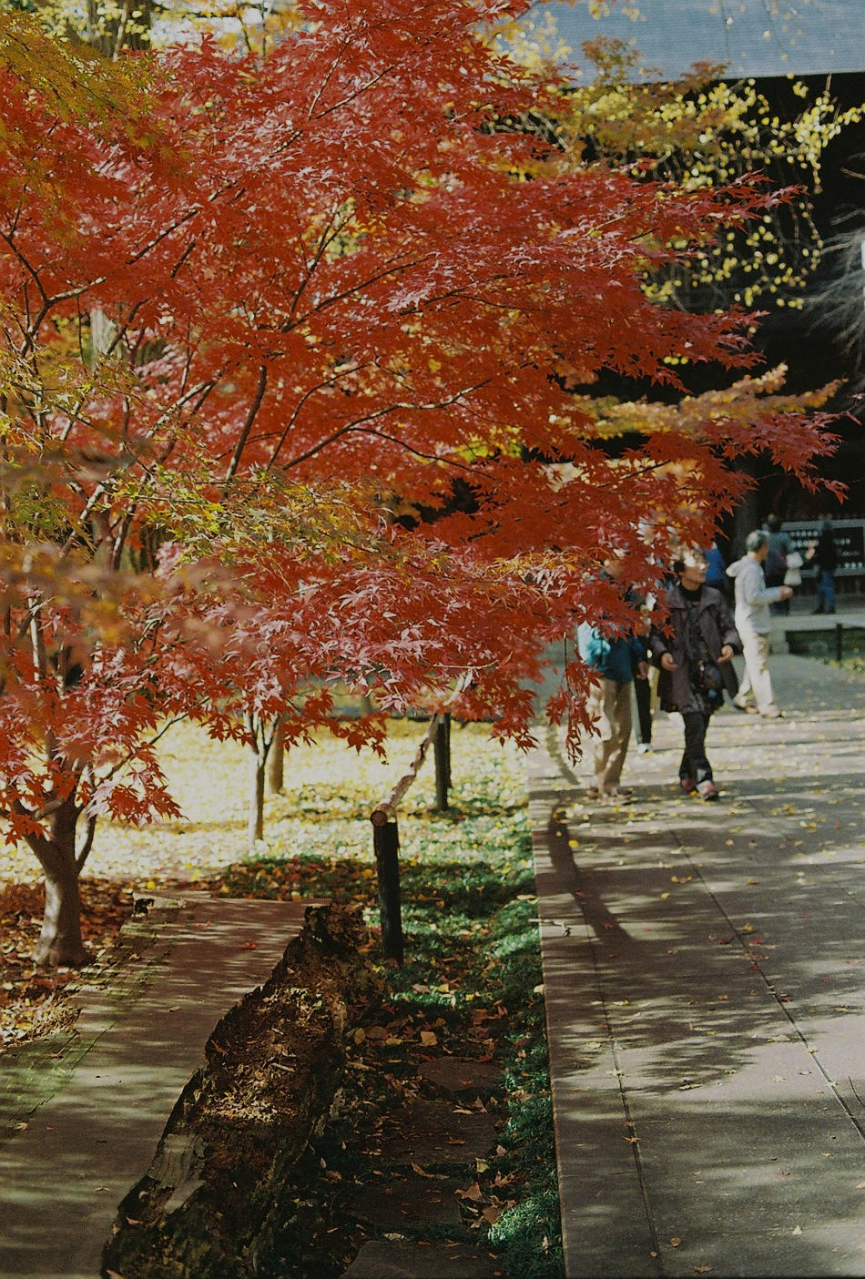 f0358531_00131619.jpg