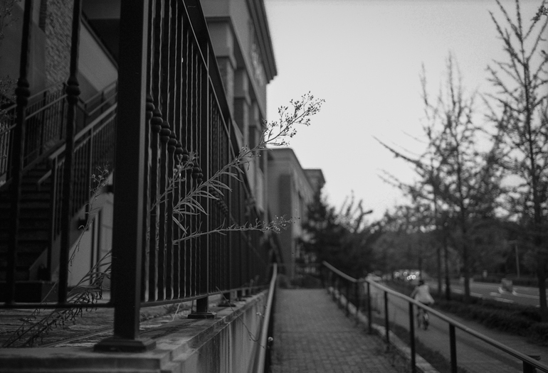 f0265234_21363130.jpg