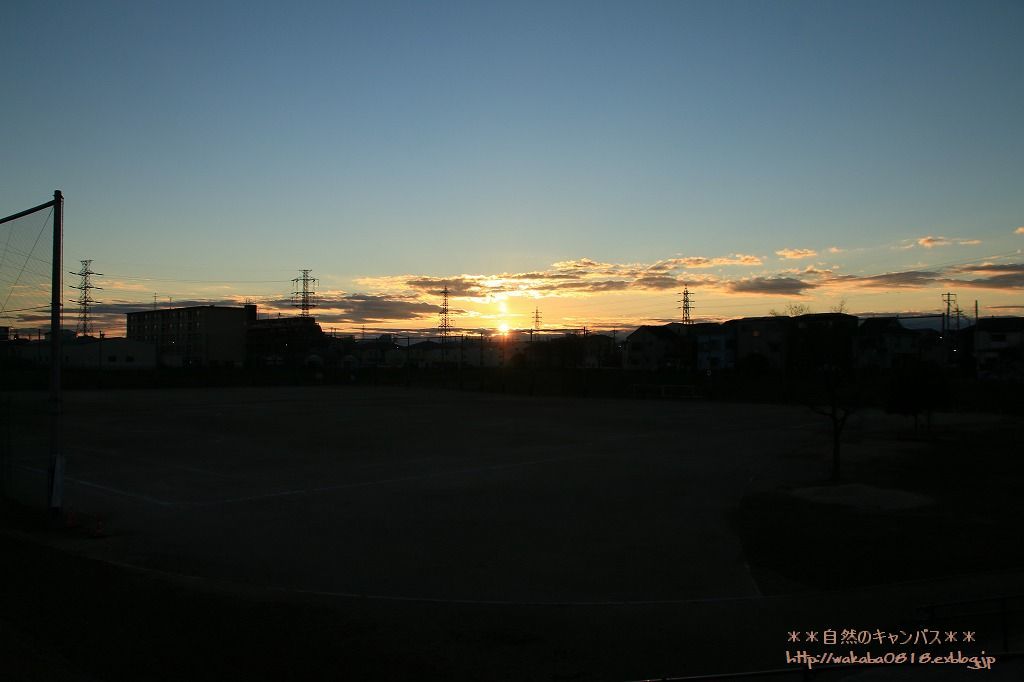 e0052135_16145276.jpg