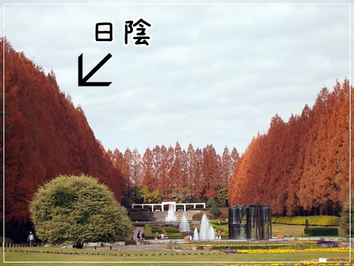 d0013149_00431096.jpg