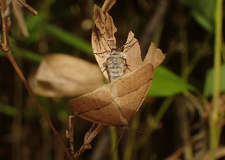 d0146854_10563139.jpg