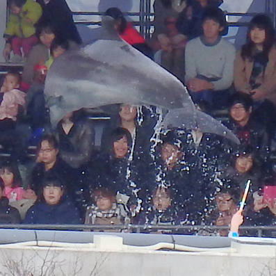d0218056_8264253.jpg
